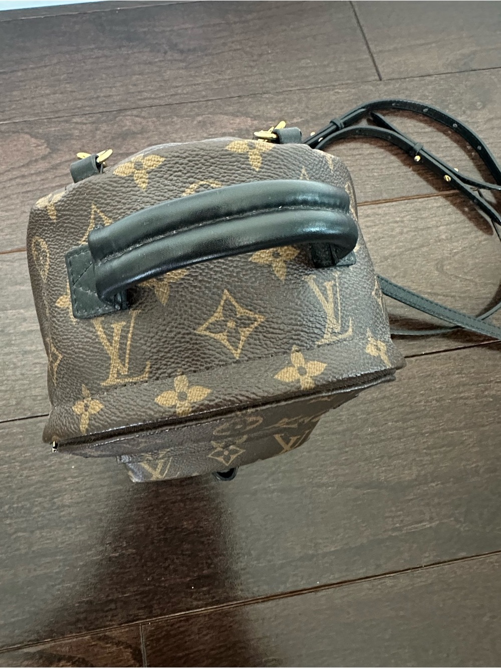 Louis Vuitton Palm Springs Mini Backpack - Picture 9 of 16